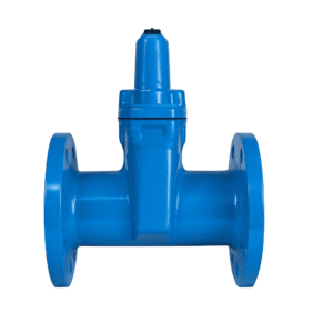 ROBINET DIN FONTA CU SERTAR – CORP OVAL CU FLANȘE, APA PN10/PN16 (60°)